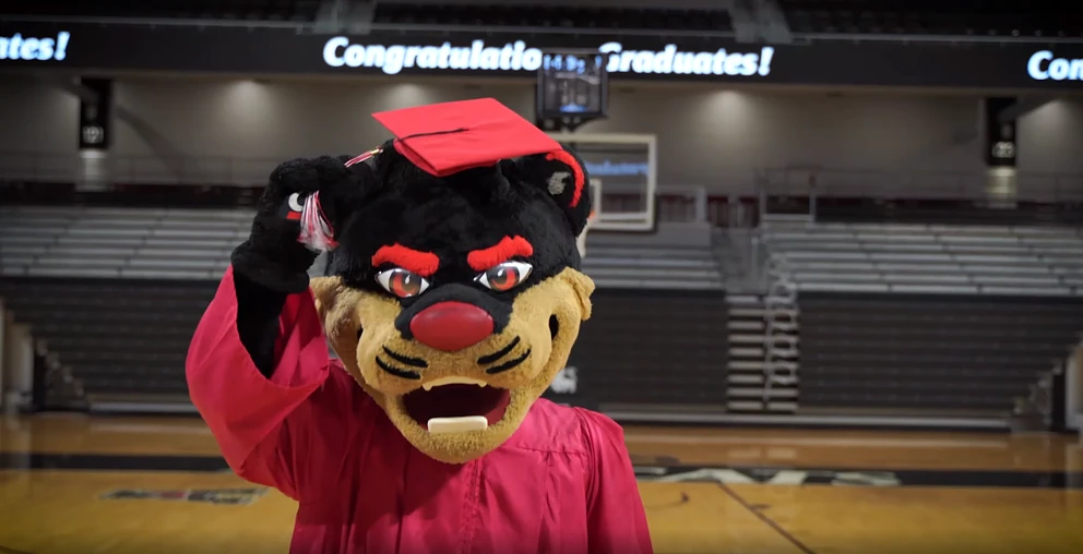 Bearcat wearing a graduation cap