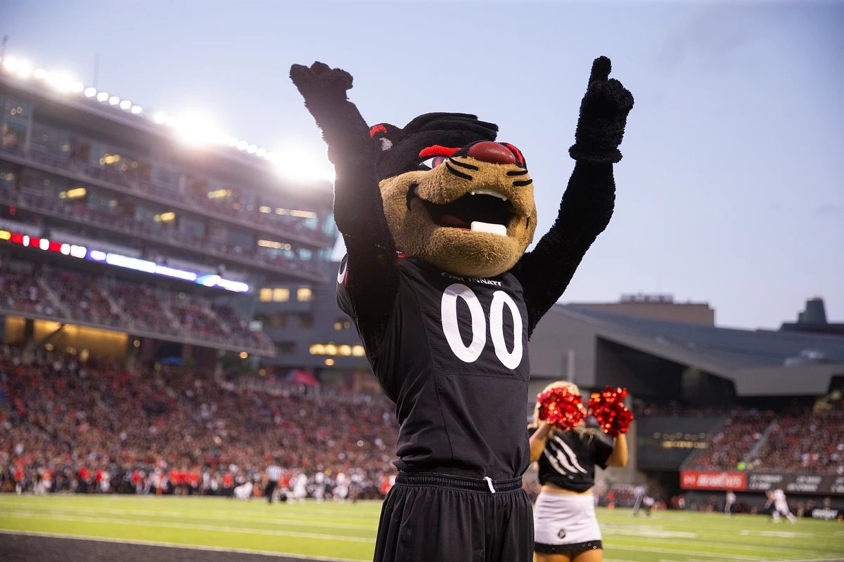 Image of the UC Bearcat with his arms up at Nippert Stadium